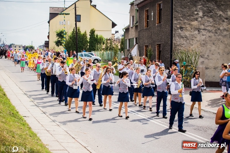 Zdjęcie w galerii na portalu naszraciborz.pl: Dwie orkiestry, kajakarze i drwale, a do tego szarpidruty - kolorowe i radosne dożynki wojewódzkie w Tworkowie  wiadomości z regionu