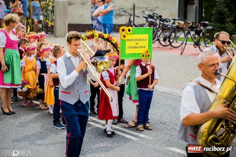 Zdjęcie w galerii na portalu naszraciborz.pl: Dwie orkiestry, kajakarze i drwale, a do tego szarpidruty - kolorowe i radosne dożynki wojewódzkie w Tworkowie  wiadomości z regionu