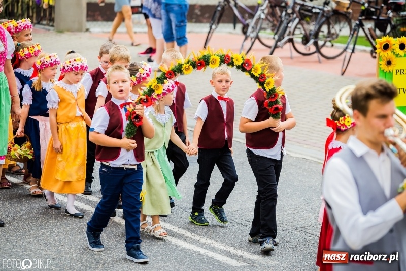 Zdjęcie w galerii na portalu naszraciborz.pl: Dwie orkiestry, kajakarze i drwale, a do tego szarpidruty - kolorowe i radosne dożynki wojewódzkie w Tworkowie  wiadomości z regionu