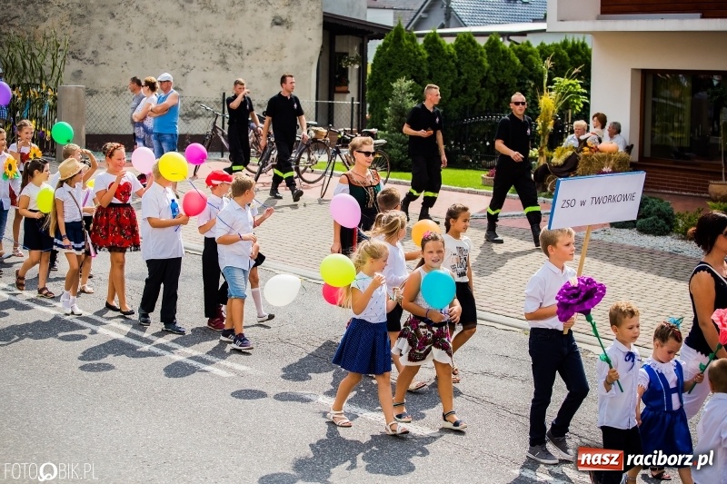 Zdjęcie w galerii na portalu naszraciborz.pl: Dwie orkiestry, kajakarze i drwale, a do tego szarpidruty - kolorowe i radosne dożynki wojewódzkie w Tworkowie  wiadomości z regionu