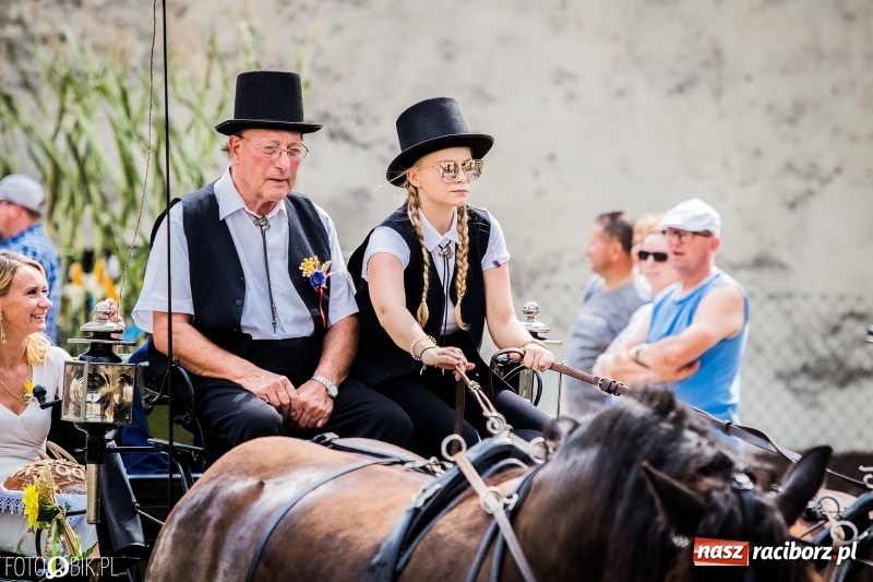 Zdjęcie w galerii na portalu naszraciborz.pl: Dwie orkiestry, kajakarze i drwale, a do tego szarpidruty - kolorowe i radosne dożynki wojewódzkie w Tworkowie  wiadomości z regionu