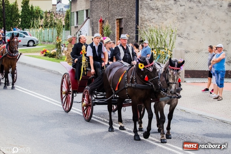 Zdjęcie w galerii na portalu naszraciborz.pl: Dwie orkiestry, kajakarze i drwale, a do tego szarpidruty - kolorowe i radosne dożynki wojewódzkie w Tworkowie  wiadomości z regionu