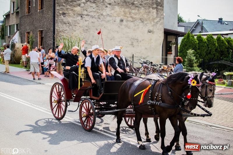 Zdjęcie w galerii na portalu naszraciborz.pl: Dwie orkiestry, kajakarze i drwale, a do tego szarpidruty - kolorowe i radosne dożynki wojewódzkie w Tworkowie  wiadomości z regionu