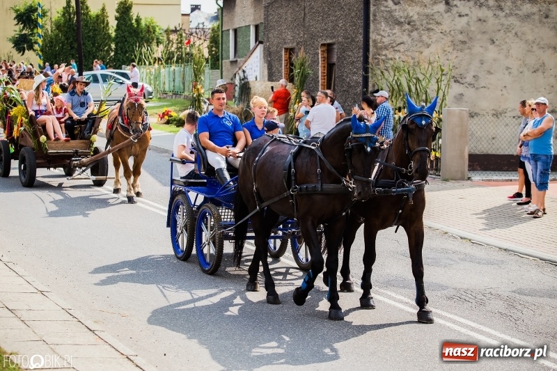 Zdjęcie w galerii na portalu naszraciborz.pl: Dwie orkiestry, kajakarze i drwale, a do tego szarpidruty - kolorowe i radosne dożynki wojewódzkie w Tworkowie  wiadomości z regionu