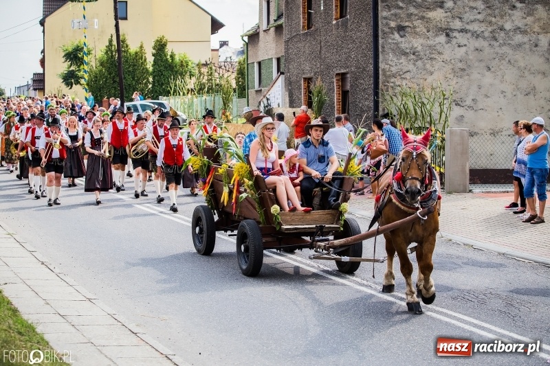 Zdjęcie w galerii na portalu naszraciborz.pl: Dwie orkiestry, kajakarze i drwale, a do tego szarpidruty - kolorowe i radosne dożynki wojewódzkie w Tworkowie  wiadomości z regionu