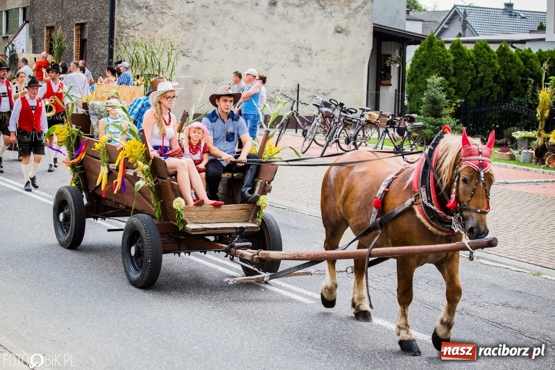 Zdjęcie w galerii na portalu naszraciborz.pl: Dwie orkiestry, kajakarze i drwale, a do tego szarpidruty - kolorowe i radosne dożynki wojewódzkie w Tworkowie  wiadomości z regionu