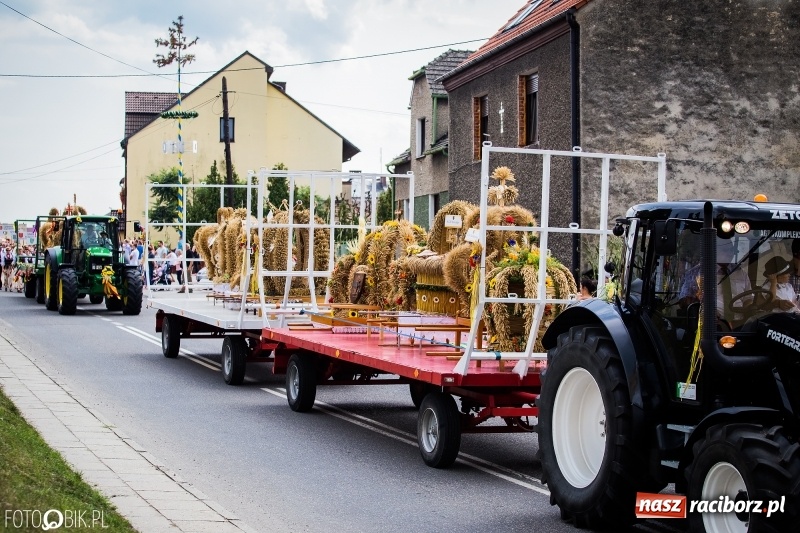Zdjęcie w galerii na portalu naszraciborz.pl: Dwie orkiestry, kajakarze i drwale, a do tego szarpidruty - kolorowe i radosne dożynki wojewódzkie w Tworkowie  wiadomości z regionu