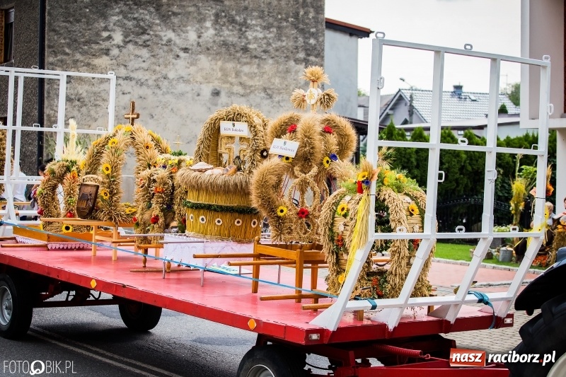 Zdjęcie w galerii na portalu naszraciborz.pl: Dwie orkiestry, kajakarze i drwale, a do tego szarpidruty - kolorowe i radosne dożynki wojewódzkie w Tworkowie  wiadomości z regionu