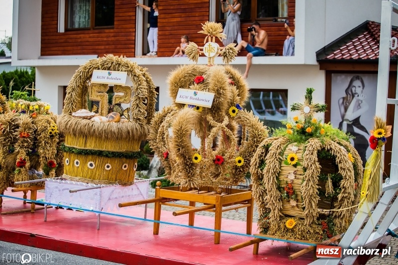 Zdjęcie w galerii na portalu naszraciborz.pl: Dwie orkiestry, kajakarze i drwale, a do tego szarpidruty - kolorowe i radosne dożynki wojewódzkie w Tworkowie  wiadomości z regionu