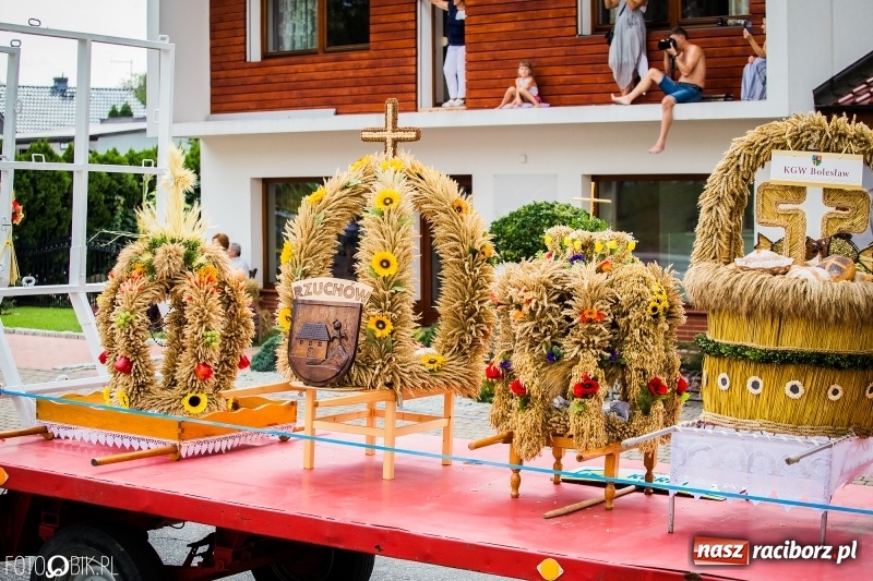 Zdjęcie w galerii na portalu naszraciborz.pl: Dwie orkiestry, kajakarze i drwale, a do tego szarpidruty - kolorowe i radosne dożynki wojewódzkie w Tworkowie  wiadomości z regionu