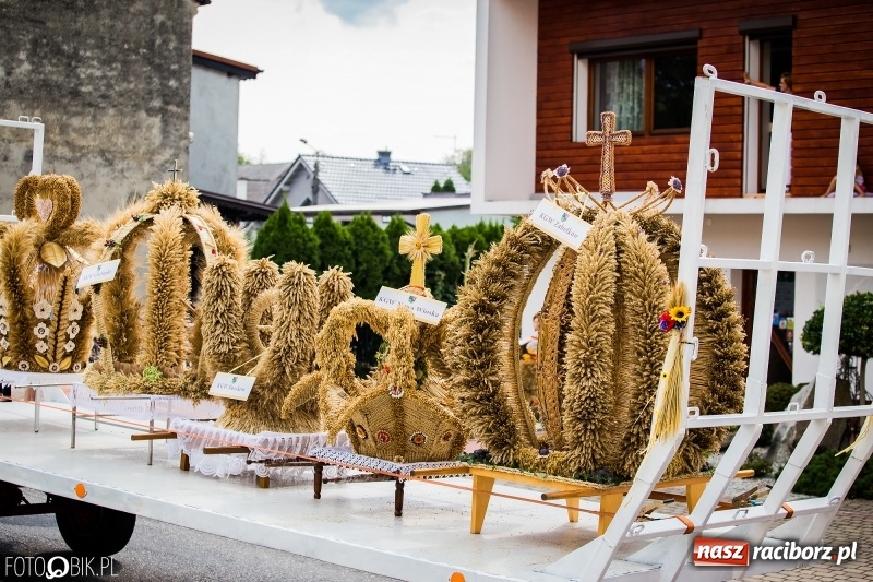 Zdjęcie w galerii na portalu naszraciborz.pl: Dwie orkiestry, kajakarze i drwale, a do tego szarpidruty - kolorowe i radosne dożynki wojewódzkie w Tworkowie  wiadomości z regionu