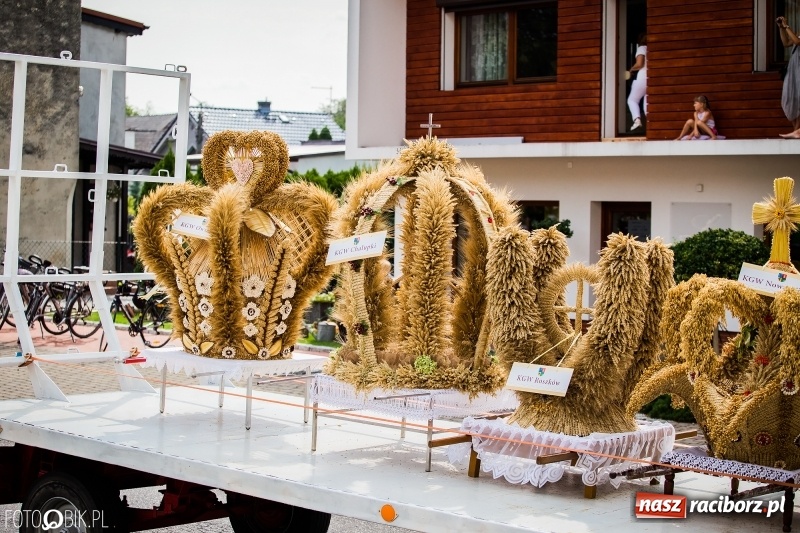 Zdjęcie w galerii na portalu naszraciborz.pl: Dwie orkiestry, kajakarze i drwale, a do tego szarpidruty - kolorowe i radosne dożynki wojewódzkie w Tworkowie  wiadomości z regionu