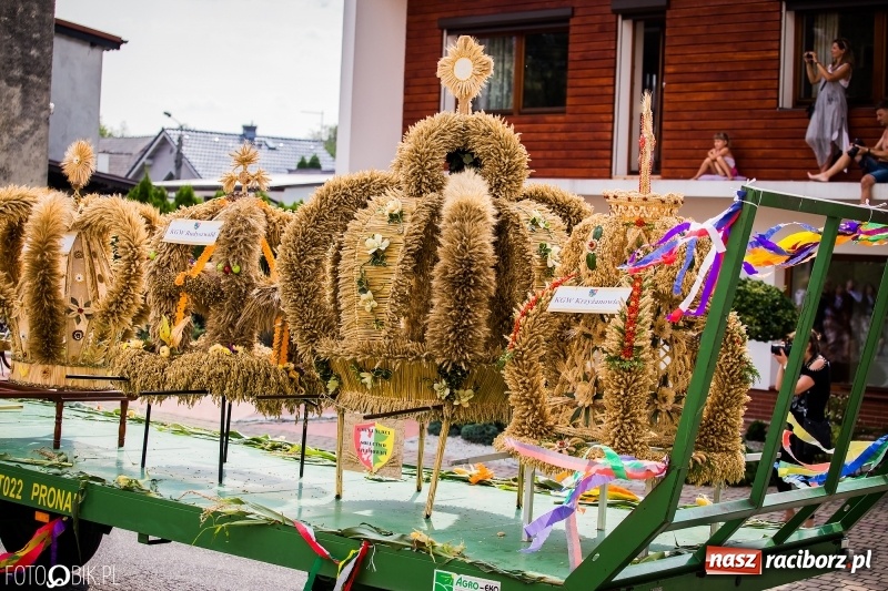 Zdjęcie w galerii na portalu naszraciborz.pl: Dwie orkiestry, kajakarze i drwale, a do tego szarpidruty - kolorowe i radosne dożynki wojewódzkie w Tworkowie  wiadomości z regionu