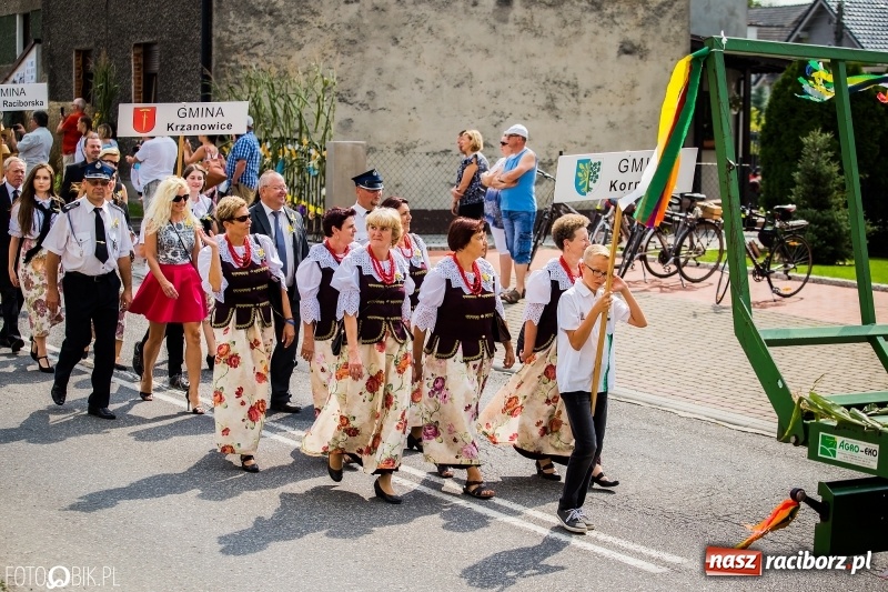 Zdjęcie w galerii na portalu naszraciborz.pl: Dwie orkiestry, kajakarze i drwale, a do tego szarpidruty - kolorowe i radosne dożynki wojewódzkie w Tworkowie  wiadomości z regionu
