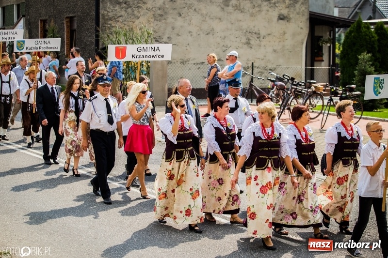 Zdjęcie w galerii na portalu naszraciborz.pl: Dwie orkiestry, kajakarze i drwale, a do tego szarpidruty - kolorowe i radosne dożynki wojewódzkie w Tworkowie  wiadomości z regionu