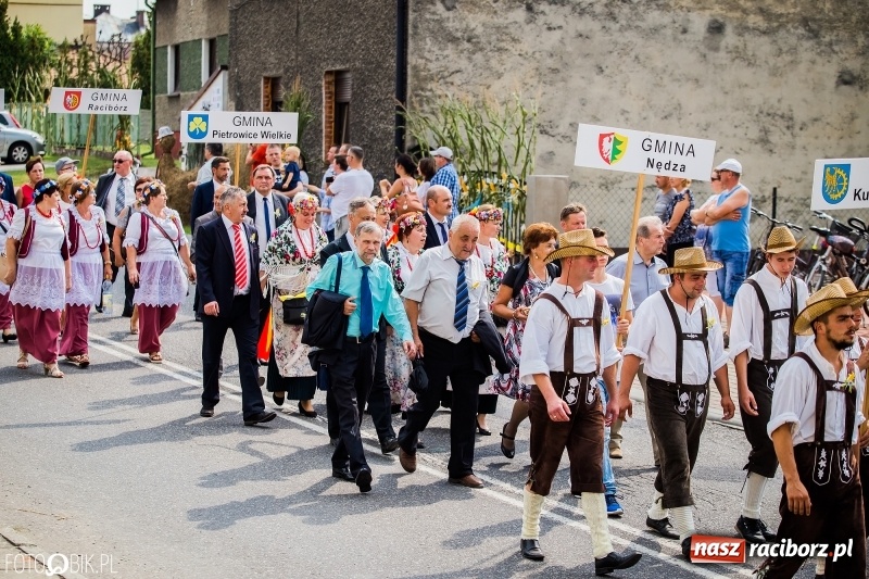 Zdjęcie w galerii na portalu naszraciborz.pl: Dwie orkiestry, kajakarze i drwale, a do tego szarpidruty - kolorowe i radosne dożynki wojewódzkie w Tworkowie  wiadomości z regionu