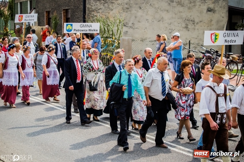 Zdjęcie w galerii na portalu naszraciborz.pl: Dwie orkiestry, kajakarze i drwale, a do tego szarpidruty - kolorowe i radosne dożynki wojewódzkie w Tworkowie  wiadomości z regionu