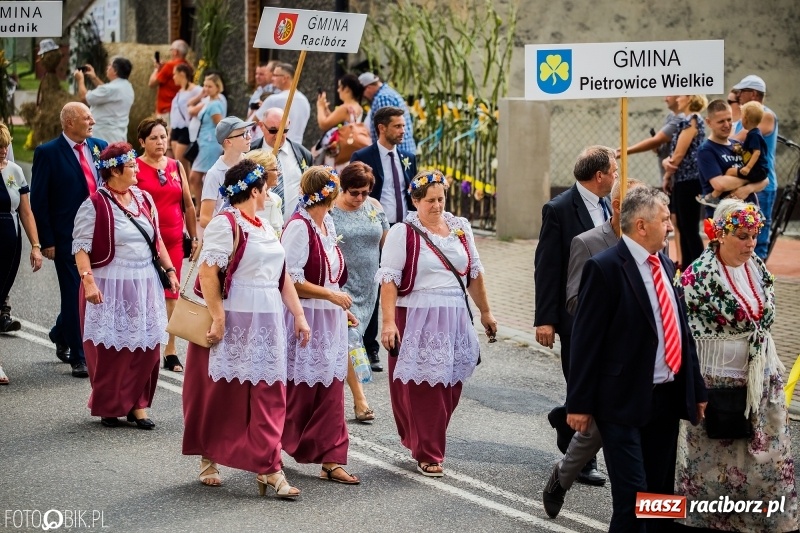 Zdjęcie w galerii na portalu naszraciborz.pl: Dwie orkiestry, kajakarze i drwale, a do tego szarpidruty - kolorowe i radosne dożynki wojewódzkie w Tworkowie  wiadomości z regionu