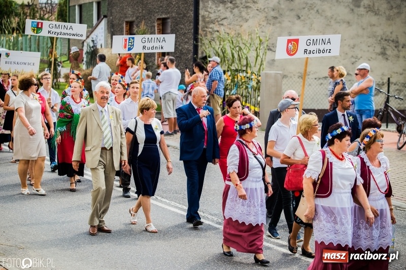 Zdjęcie w galerii na portalu naszraciborz.pl: Dwie orkiestry, kajakarze i drwale, a do tego szarpidruty - kolorowe i radosne dożynki wojewódzkie w Tworkowie  wiadomości z regionu