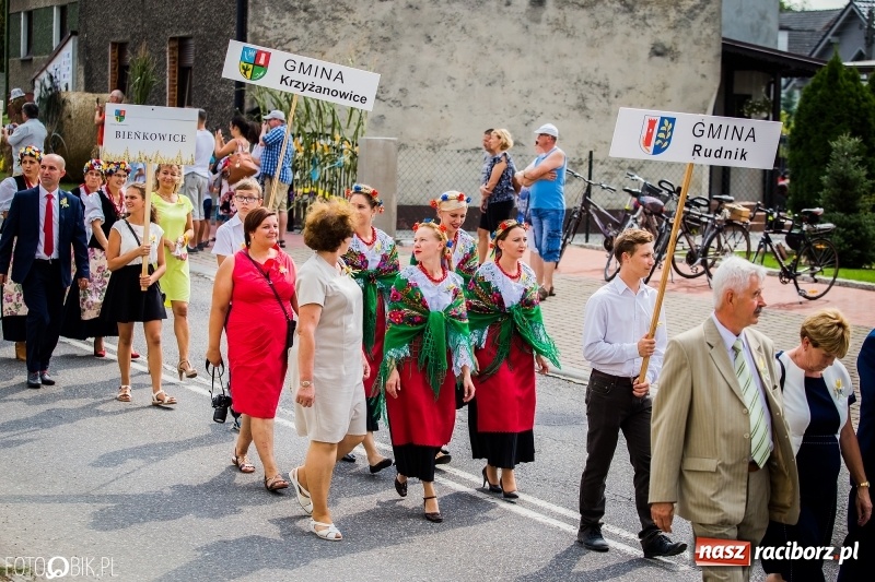 Zdjęcie w galerii na portalu naszraciborz.pl: Dwie orkiestry, kajakarze i drwale, a do tego szarpidruty - kolorowe i radosne dożynki wojewódzkie w Tworkowie  wiadomości z regionu
