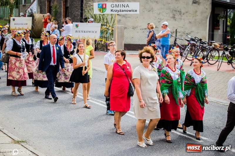 Zdjęcie w galerii na portalu naszraciborz.pl: Dwie orkiestry, kajakarze i drwale, a do tego szarpidruty - kolorowe i radosne dożynki wojewódzkie w Tworkowie  wiadomości z regionu