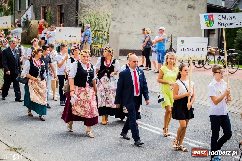 Zdjęcie w galerii na portalu naszraciborz.pl: Dwie orkiestry, kajakarze i drwale, a do tego szarpidruty - kolorowe i radosne dożynki wojewódzkie w Tworkowie  wiadomości z regionu