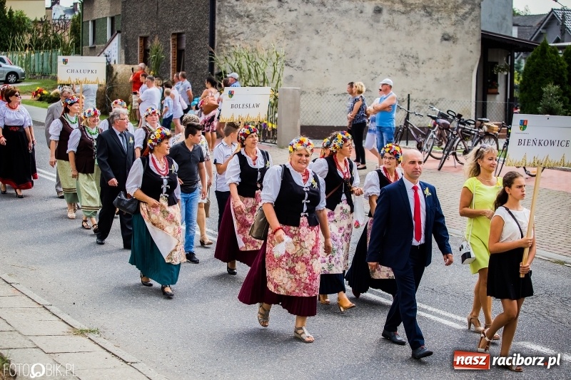 Zdjęcie w galerii na portalu naszraciborz.pl: Dwie orkiestry, kajakarze i drwale, a do tego szarpidruty - kolorowe i radosne dożynki wojewódzkie w Tworkowie  wiadomości z regionu