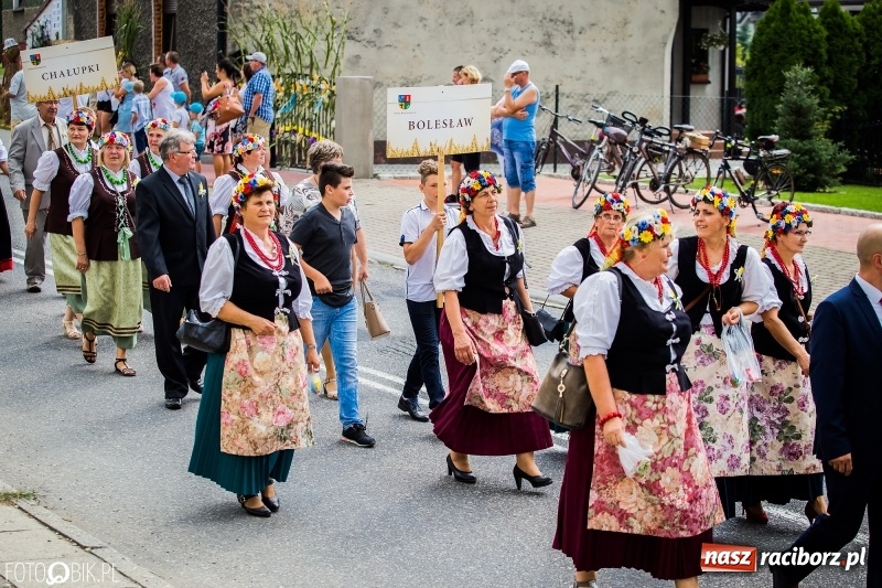 Zdjęcie w galerii na portalu naszraciborz.pl: Dwie orkiestry, kajakarze i drwale, a do tego szarpidruty - kolorowe i radosne dożynki wojewódzkie w Tworkowie  wiadomości z regionu