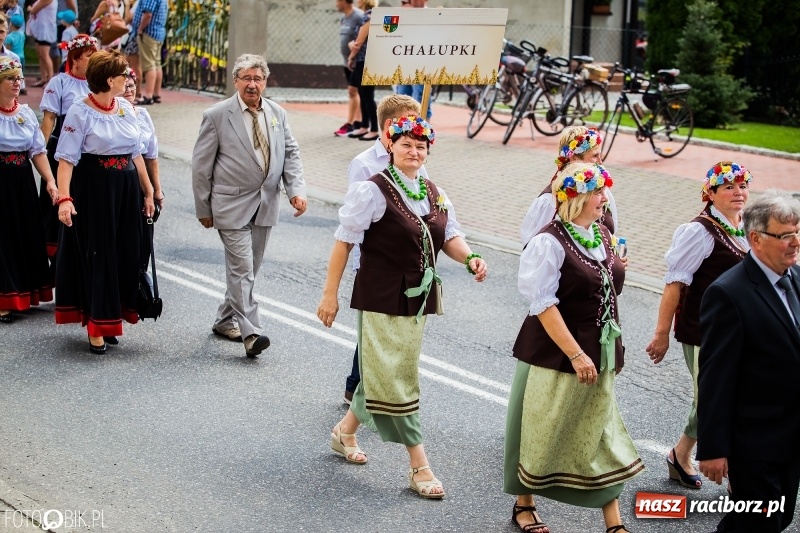 Zdjęcie w galerii na portalu naszraciborz.pl: Dwie orkiestry, kajakarze i drwale, a do tego szarpidruty - kolorowe i radosne dożynki wojewódzkie w Tworkowie  wiadomości z regionu