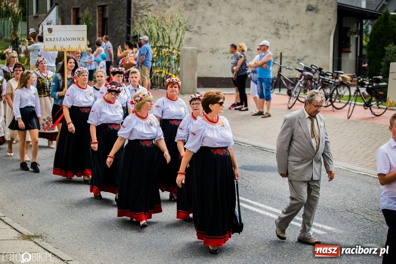 Zdjęcie w galerii na portalu naszraciborz.pl: Dwie orkiestry, kajakarze i drwale, a do tego szarpidruty - kolorowe i radosne dożynki wojewódzkie w Tworkowie  wiadomości z regionu