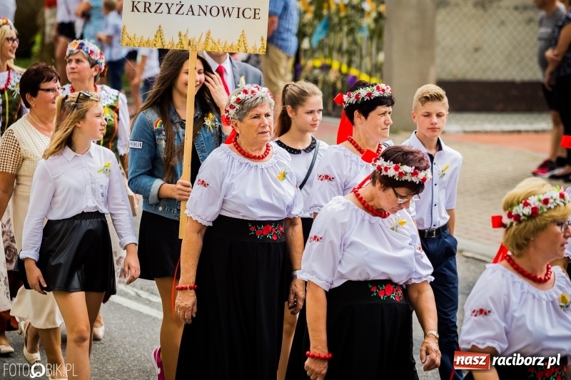 Zdjęcie w galerii na portalu naszraciborz.pl: Dwie orkiestry, kajakarze i drwale, a do tego szarpidruty - kolorowe i radosne dożynki wojewódzkie w Tworkowie  wiadomości z regionu