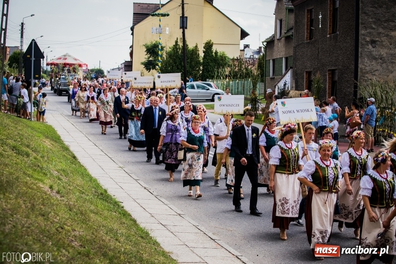 Zdjęcie w galerii na portalu naszraciborz.pl: Dwie orkiestry, kajakarze i drwale, a do tego szarpidruty - kolorowe i radosne dożynki wojewódzkie w Tworkowie  wiadomości z regionu