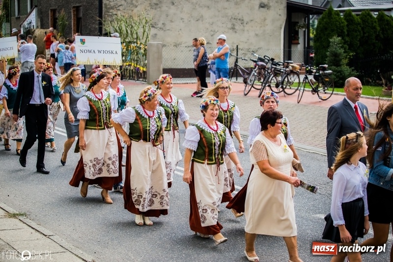 Zdjęcie w galerii na portalu naszraciborz.pl: Dwie orkiestry, kajakarze i drwale, a do tego szarpidruty - kolorowe i radosne dożynki wojewódzkie w Tworkowie  wiadomości z regionu