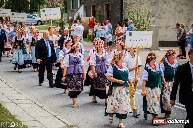 Zdjęcie w galerii na portalu naszraciborz.pl: Dwie orkiestry, kajakarze i drwale, a do tego szarpidruty - kolorowe i radosne dożynki wojewódzkie w Tworkowie  wiadomości z regionu