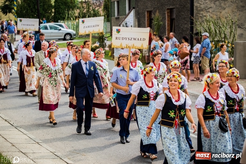 Zdjęcie w galerii na portalu naszraciborz.pl: Dwie orkiestry, kajakarze i drwale, a do tego szarpidruty - kolorowe i radosne dożynki wojewódzkie w Tworkowie  wiadomości z regionu