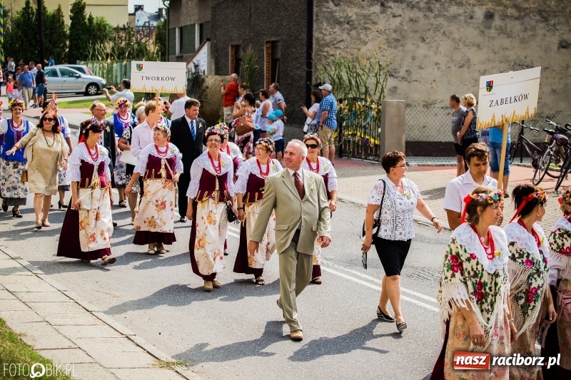 Zdjęcie w galerii na portalu naszraciborz.pl: Dwie orkiestry, kajakarze i drwale, a do tego szarpidruty - kolorowe i radosne dożynki wojewódzkie w Tworkowie  wiadomości z regionu