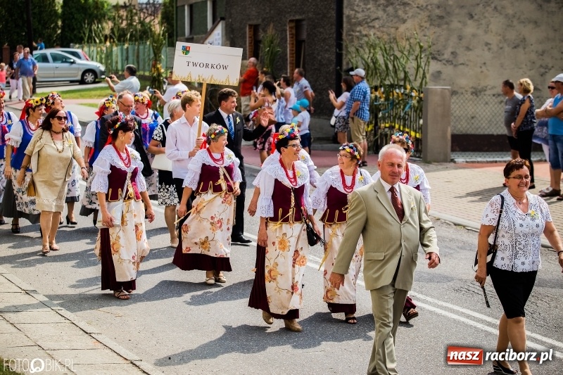 Zdjęcie w galerii na portalu naszraciborz.pl: Dwie orkiestry, kajakarze i drwale, a do tego szarpidruty - kolorowe i radosne dożynki wojewódzkie w Tworkowie  wiadomości z regionu