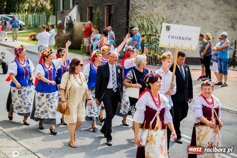 Zdjęcie w galerii na portalu naszraciborz.pl: Dwie orkiestry, kajakarze i drwale, a do tego szarpidruty - kolorowe i radosne dożynki wojewódzkie w Tworkowie  wiadomości z regionu