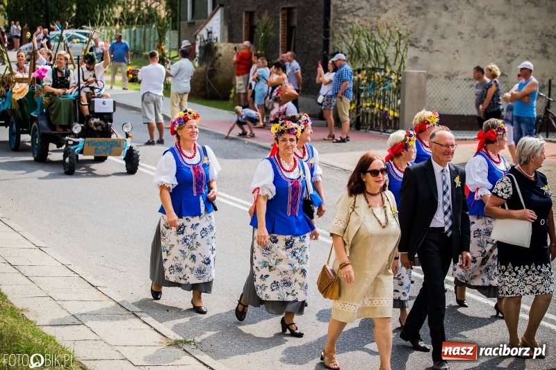 Zdjęcie w galerii na portalu naszraciborz.pl: Dwie orkiestry, kajakarze i drwale, a do tego szarpidruty - kolorowe i radosne dożynki wojewódzkie w Tworkowie  wiadomości z regionu