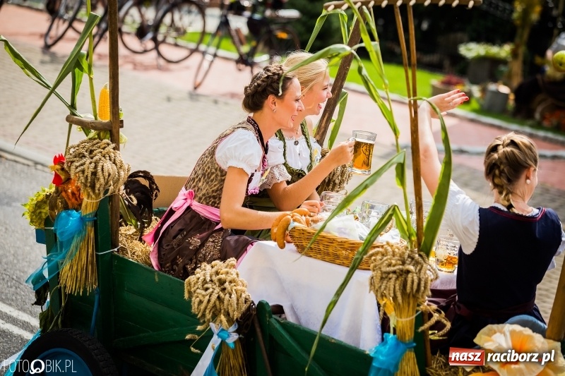 Zdjęcie w galerii na portalu naszraciborz.pl: Dwie orkiestry, kajakarze i drwale, a do tego szarpidruty - kolorowe i radosne dożynki wojewódzkie w Tworkowie  wiadomości z regionu
