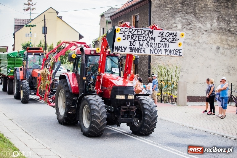 Zdjęcie w galerii na portalu naszraciborz.pl: Dwie orkiestry, kajakarze i drwale, a do tego szarpidruty - kolorowe i radosne dożynki wojewódzkie w Tworkowie  wiadomości z regionu