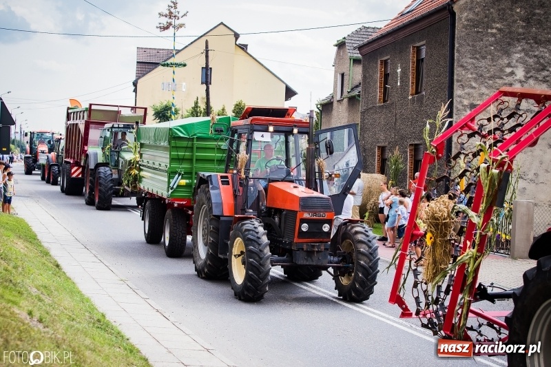 Zdjęcie w galerii na portalu naszraciborz.pl: Dwie orkiestry, kajakarze i drwale, a do tego szarpidruty - kolorowe i radosne dożynki wojewódzkie w Tworkowie  wiadomości z regionu