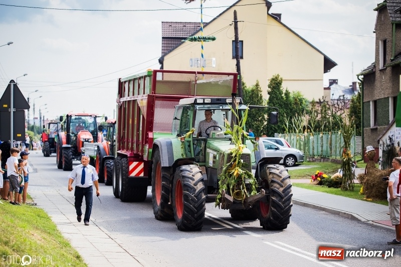 Zdjęcie w galerii na portalu naszraciborz.pl: Dwie orkiestry, kajakarze i drwale, a do tego szarpidruty - kolorowe i radosne dożynki wojewódzkie w Tworkowie  wiadomości z regionu