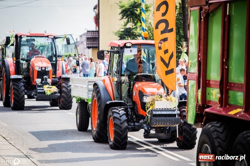 Zdjęcie w galerii na portalu naszraciborz.pl: Dwie orkiestry, kajakarze i drwale, a do tego szarpidruty - kolorowe i radosne dożynki wojewódzkie w Tworkowie  wiadomości z regionu