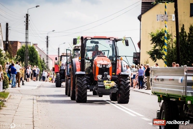 Zdjęcie w galerii na portalu naszraciborz.pl: Dwie orkiestry, kajakarze i drwale, a do tego szarpidruty - kolorowe i radosne dożynki wojewódzkie w Tworkowie  wiadomości z regionu