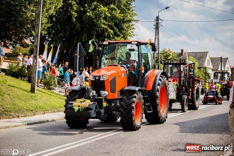 Zdjęcie w galerii na portalu naszraciborz.pl: Dwie orkiestry, kajakarze i drwale, a do tego szarpidruty - kolorowe i radosne dożynki wojewódzkie w Tworkowie  wiadomości z regionu