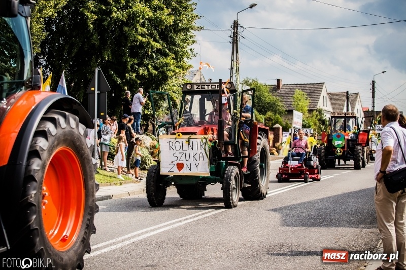 Zdjęcie w galerii na portalu naszraciborz.pl: Dwie orkiestry, kajakarze i drwale, a do tego szarpidruty - kolorowe i radosne dożynki wojewódzkie w Tworkowie  wiadomości z regionu