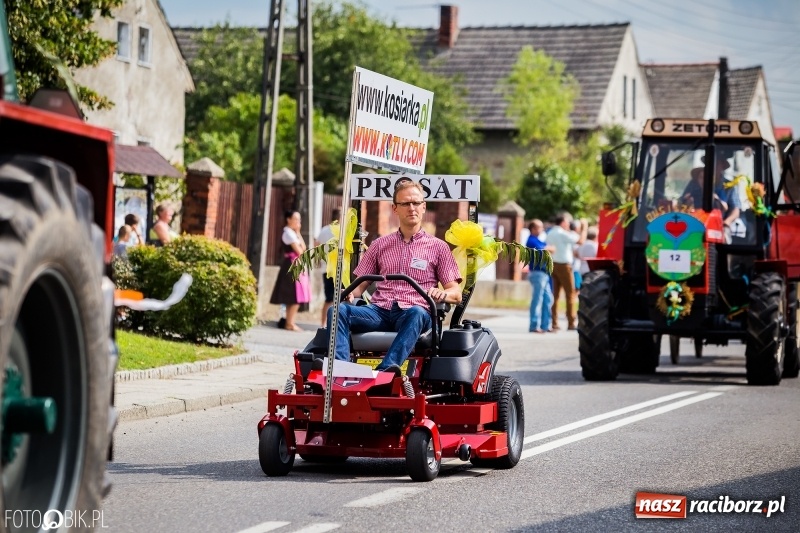 Zdjęcie w galerii na portalu naszraciborz.pl: Dwie orkiestry, kajakarze i drwale, a do tego szarpidruty - kolorowe i radosne dożynki wojewódzkie w Tworkowie  wiadomości z regionu