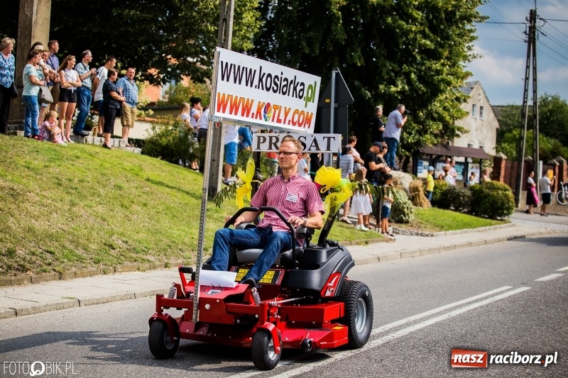 Zdjęcie w galerii na portalu naszraciborz.pl: Dwie orkiestry, kajakarze i drwale, a do tego szarpidruty - kolorowe i radosne dożynki wojewódzkie w Tworkowie  wiadomości z regionu