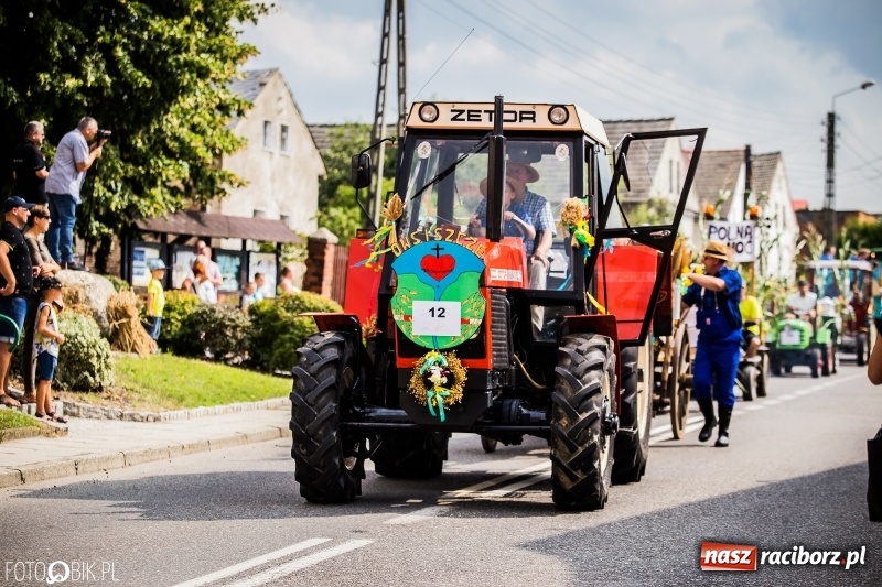 Zdjęcie w galerii na portalu naszraciborz.pl: Dwie orkiestry, kajakarze i drwale, a do tego szarpidruty - kolorowe i radosne dożynki wojewódzkie w Tworkowie  wiadomości z regionu